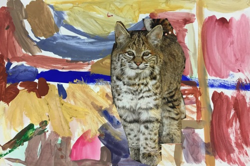 Bob Cat Habitat
Collage and Watercolor
Grade 1